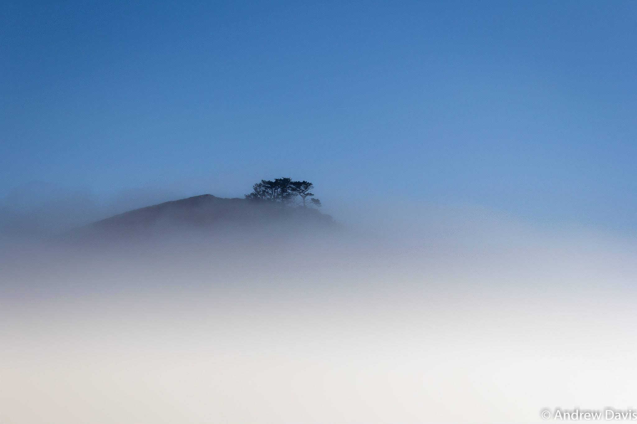 Trees peeking over the fog