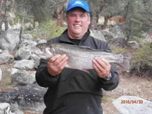 t-26 Fishie