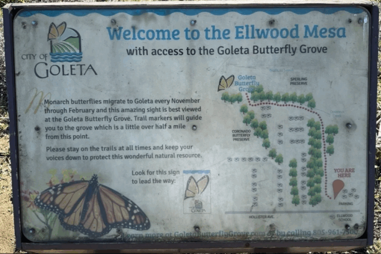Goleta Bike Ride