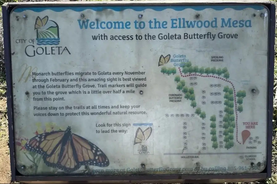 Goleta Bike Ride