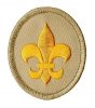Scout